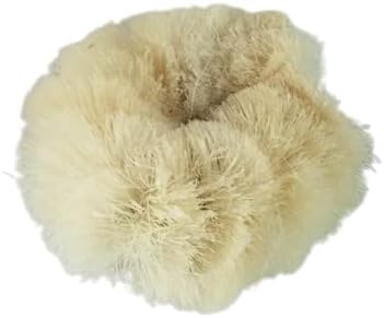 Bath Body Scrub Brush Skin Smooth Scrubbing Coconut Coir Cleaning the Body Natural Bristal for Post Shower & Bath Skincare Routine Eco-Friendly (2 Pack)