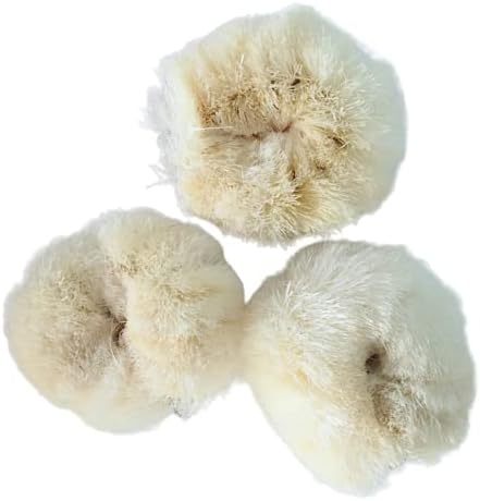 Bath Body Scrub Brush Skin Smooth Scrubbing Coconut Coir Cleaning the Body Natural Bristal for Post Shower & Bath Skincare Routine Eco-Friendly (2 Pack)