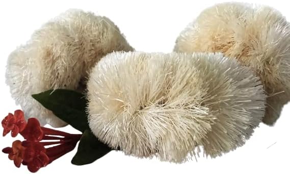 Bath Body Scrub Brush Skin Smooth Scrubbing Coconut Coir Cleaning the Body Natural Bristal for Post Shower & Bath Skincare Routine Eco-Friendly (2 Pack)