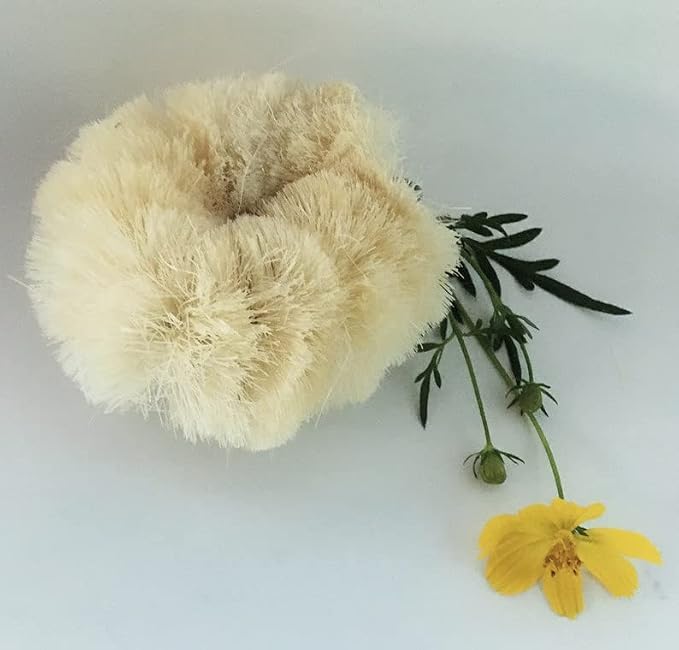 Bath Body Scrub Brush Skin Smooth Scrubbing Coconut Coir Cleaning the Body Natural Bristal for Post Shower & Bath Skincare Routine Eco-Friendly (2 Pack)