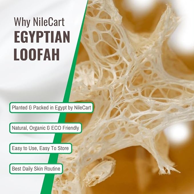NileCart Natural Loofah for Men, Black, 2 Pack | Egyptian Luffa Sponge Pads - Natural Body Exfoliator Scrubber for Bath & Shower