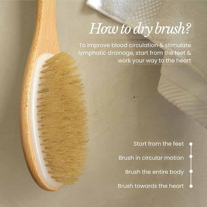 Bare Botanics 17" Extra Long Dry Body Brush - Medium Firmness Back Scrubber | Ergonomic Curved Handle with Silicone Grip and Hang Rope | Natural Bristles | For Shower Use