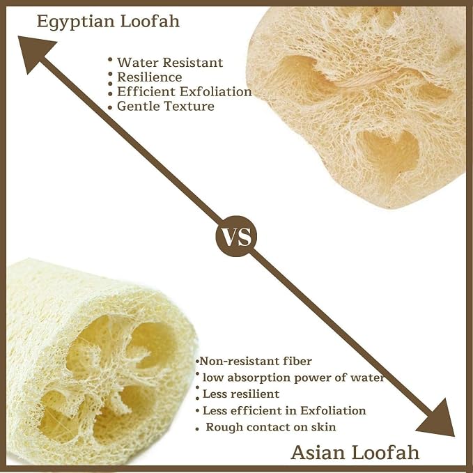 NileCart Loofah Pack of 3 Scrubbies for Body 6 in. Egyptian Loofah Sponge - Natural Exfoliating Body Scrubber Shower Loofah | Body Scrubber Exfoliator Natural loofah Sponge - Luffa for Men and Women
