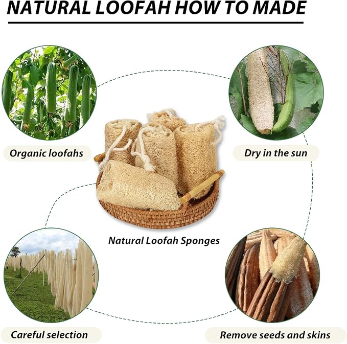 Natural Loofah Sponge Organic Loofa Set 6 Pack,Exfoliating Body Scrubber Shower Luffa Men and Women for Bath Cleaning Skin Back and Face Eco Tool