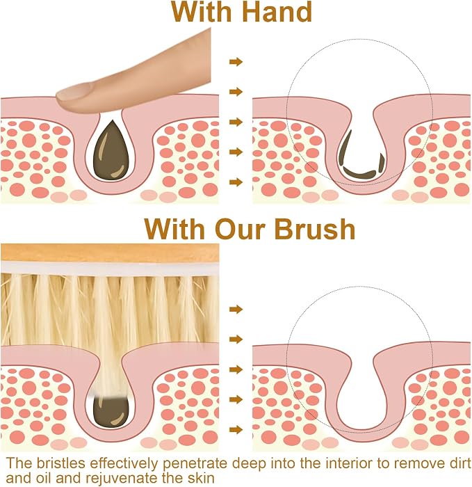 16.5 Inches Back Scrubber for Shower with Curved Long Handle,Wet&Dry Brushing Body Brush,Natural Bristles,Back Scrubber Bath Tool for Men & Women
