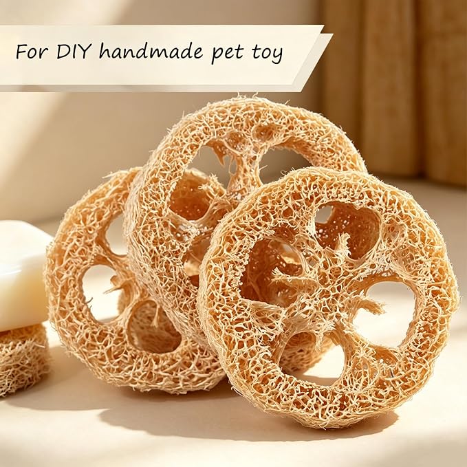 Natural Loofah Slices Cuts for Soap Making-20 Pack Organic Luffa Loofa Sponges for Soap Holder Handmade DIY Loofa Pet Toy Loofahs