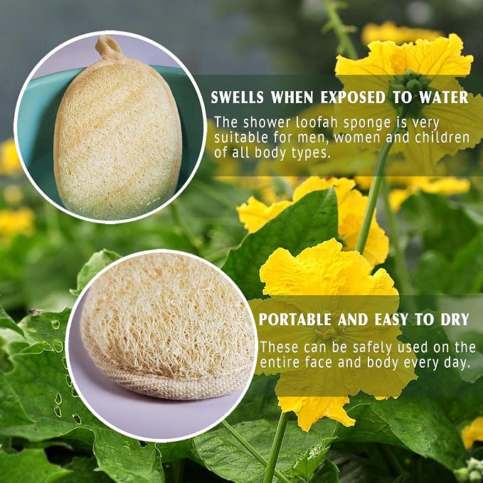 YIQINGJIE Natural Loofah Sponge Exfoliating Body Scrubber (3 Pack),Made with Eco-Friendly and Biodegradable Shower Luffa Sponge, Loofah for Women and Men, Beige