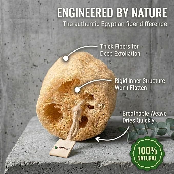Waritex Organic Egyptian Loofah Sponges Exfoliating Scrubber Bath [2 Pack] | Natural Loofah Fiber for Gentle Skin Exfoliation, Deep Cleansing Full Body Spa Experience, Smooth Radiant Skin Care