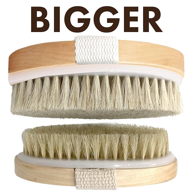 Scala Body Brush Natural Bristle, Dry Brushing Exfoliator for Dead Skin | Medium strength bristles, boosts circulation, lymphatic drainage, cellulite care