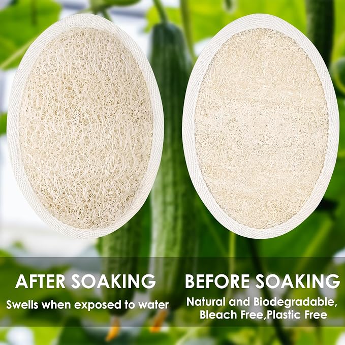Natural Loofah Sponge 4 Pack for Shower, Organic Luffa Exfoliating Body Scrubber, Eco Friendly Biodegradable Bath Sponge, Plant Based Body Exfoliator for Men Women, Shower Loofah with Hanging Rope