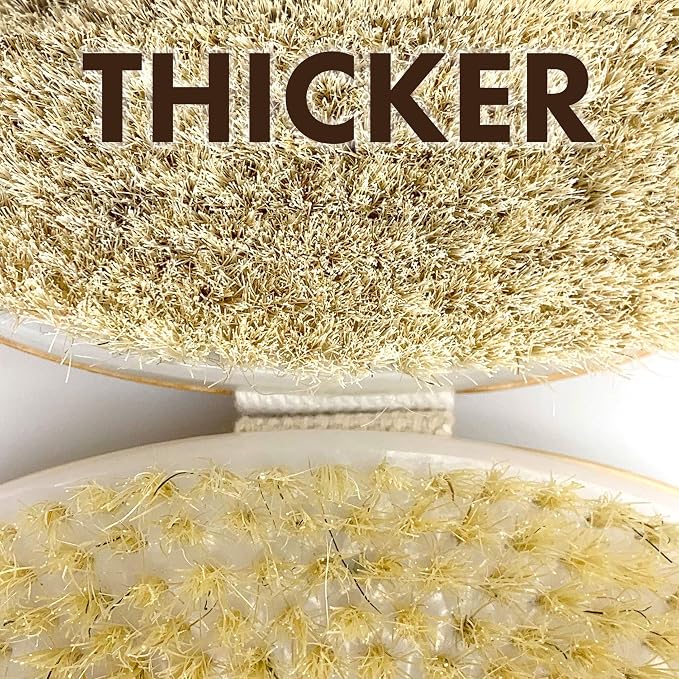 Scala Body Brush Natural Bristle, Dry Brushing Exfoliator for Dead Skin | Medium strength bristles, boosts circulation, lymphatic drainage, cellulite care